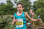 Grasmere-231