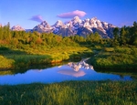 Istock #12963714