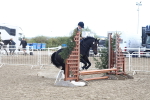 SBM_12175