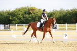 SBM_008142