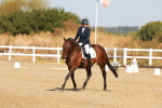 SBM_016638