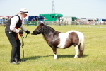 SBM_02013