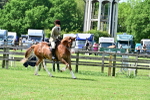 SBM_03839