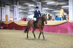 SBM_15691