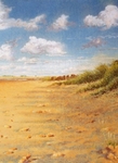 footprints