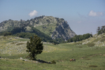 9364 Pollino Massif