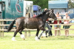 SBM_02314