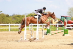 SBM_001716