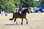 WJ6_8226