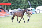 SBM_11455