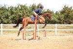 SBM_000563