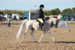 SBM_12179