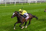150526-Race 5-Rahiebb-0299