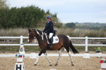 SBM_003864