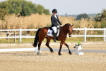 SBM_002272