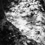 Pine Ridge Park, Indiana County, Pennsylvania, 2019