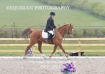 BPP_8913