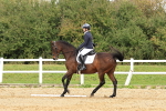 SBM_002943