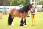 SBM_06074