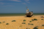 Waiting ~ Dungeness (20)