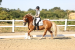 SBM_007722