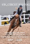 BPP_7868