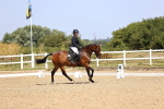 SBM_010431