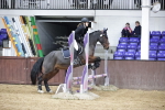 SBM_000970