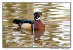 191229-7D-8E0A1711-Edit