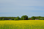 Lautna to Kloostri, Estonia