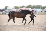 SBM_07119