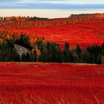 Drive thru Autumn