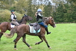 WJ6_8082