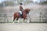 SBM_006303