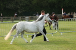 SBM_00547