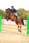 SBM_006375