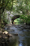 The River Frome _57