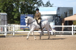 SBM_17534