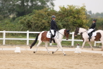 SBM_01480
