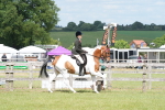 SBM_17576