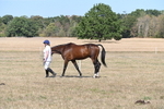 WJ6_9433