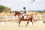 SBM_018172