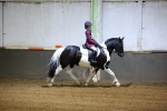 SBM_000288