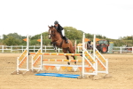SBM_002803