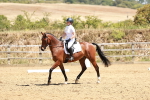 SBM_002851