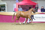 SBM_20978