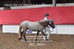 JAC_5651