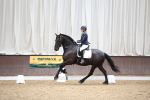SBM_003187