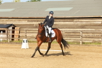 Class 5 - Novice 2 portfolio