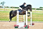 Cls 29 Foxhunter portfolio